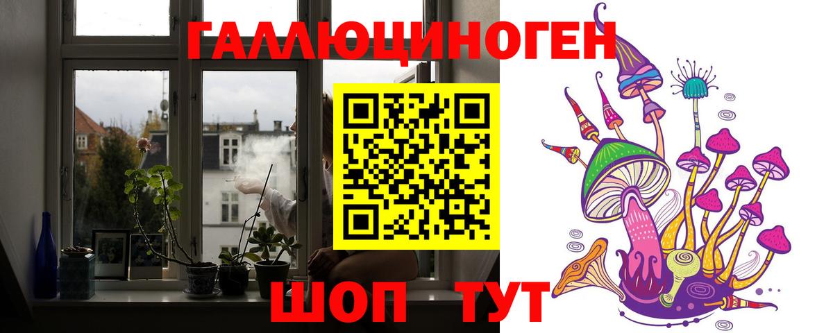 Галлюциногенные грибы Cubensis Всеволожск