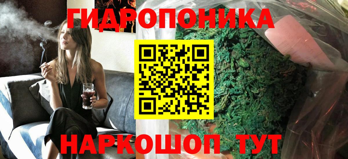 Конопля гибрид Всеволожск